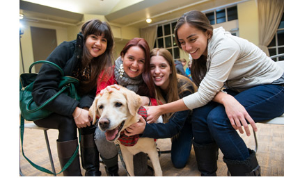 Dog therapy at UNB