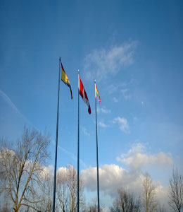 The rainbow flag will fly on University of New Brunswick campuses for the duration of the Sochi 2014 Winter Olympics