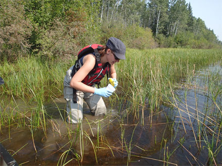 With the vision of making every river a healthy river, the Canadian Rivers Institute has expanded beyond its Canadian roots and developed projects and course offerings around the globe.