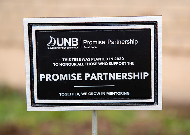 Sign showing that trees are being planted in 2020 to mark the program's 10-year anniversary.