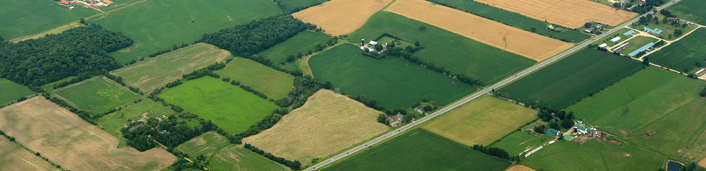 Aerial view of land.