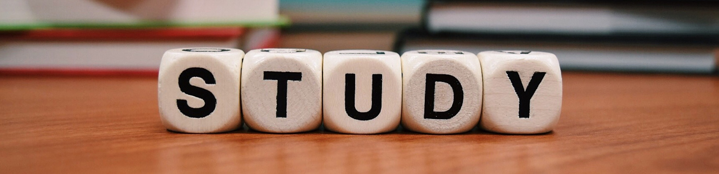 The word "study" in wooden blocks