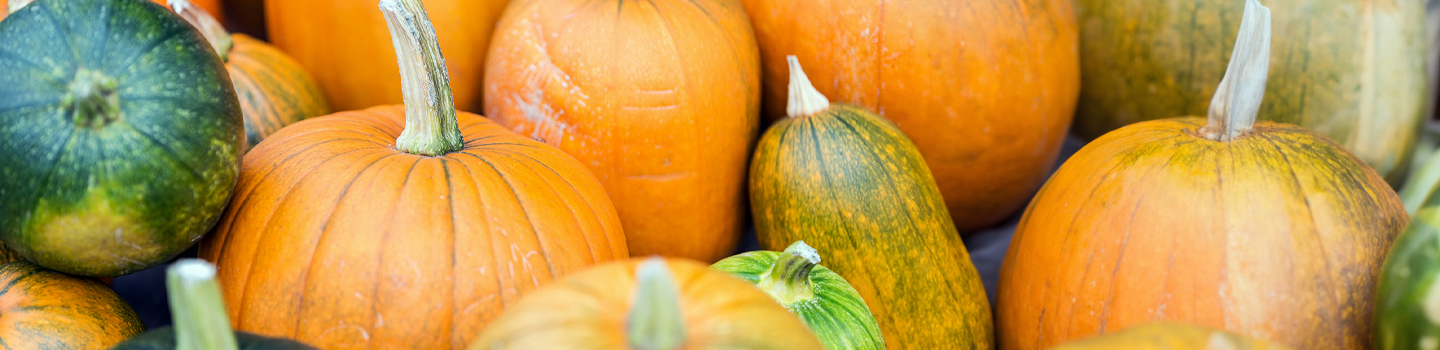 Photograph of a collection of pumpkins