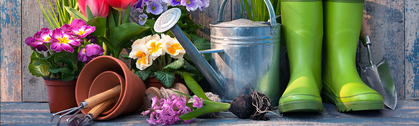 Photo of rubber boots, a watering can, and other spring accessories