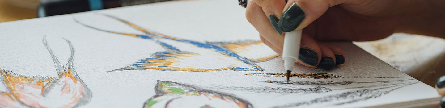 Photo of LL Youth Book Illustration for Beginners