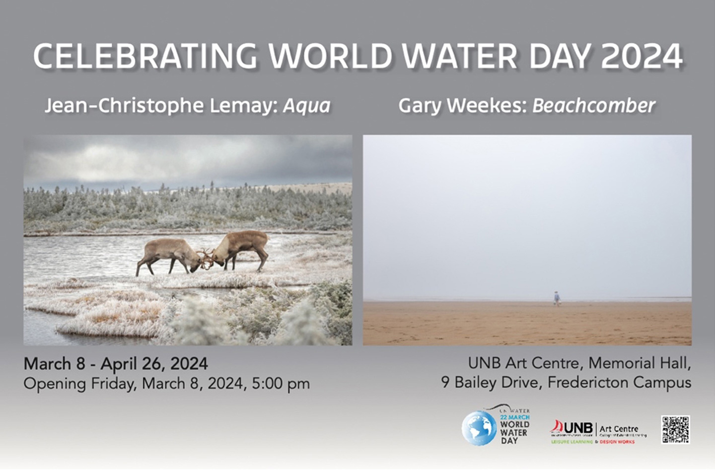 world-water-day-2024