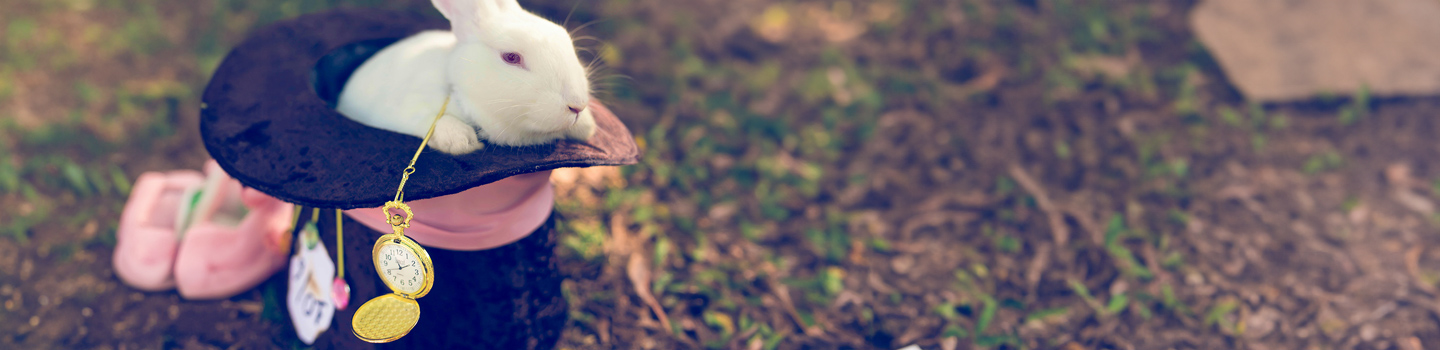 White rabbit in a top hat with a pocket watch next to it