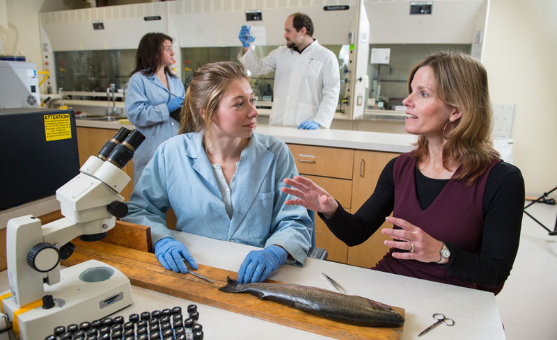 Karen Kidd Lab - Canadian Rivers Institute