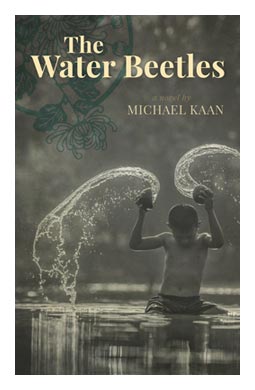 The Water Beetles