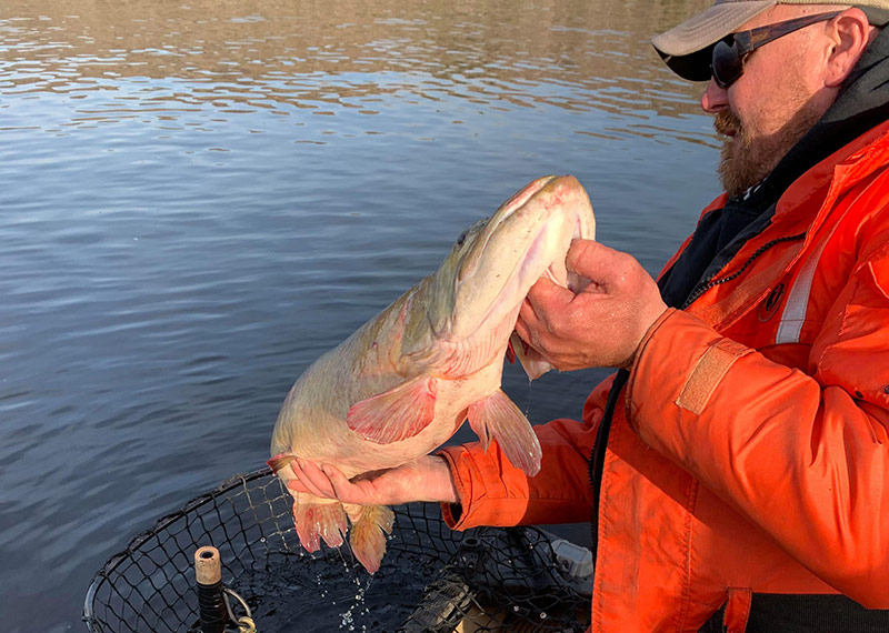 UNB student project examines the sustainability of the St. John River's  muskie population