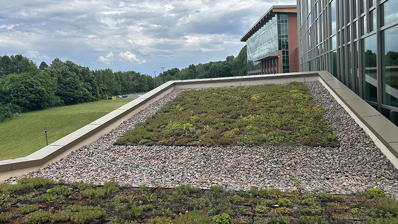 UNB Kinesiology Building