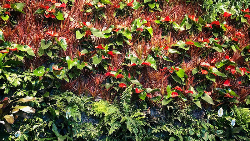 Living wall