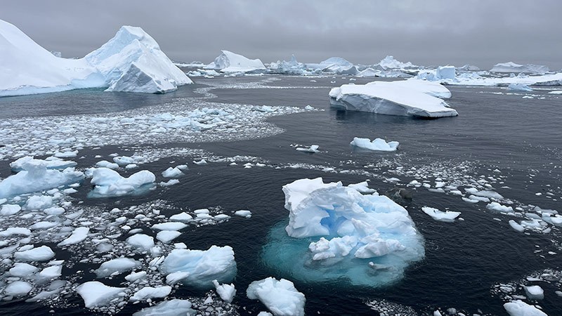 Even more ice