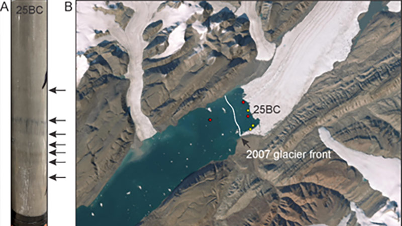 Figure showing (A) A core extracted from a box corer displaying distinct laminations. (B) Satellite image showing the locations of our sediment samples (yellow and red circles) near the present-day glacier front, with the white line indicating 2007 glacier limit.