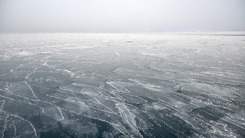 “Finger-rafting” patterns in the nilas. Photo: Audrey Limoges.