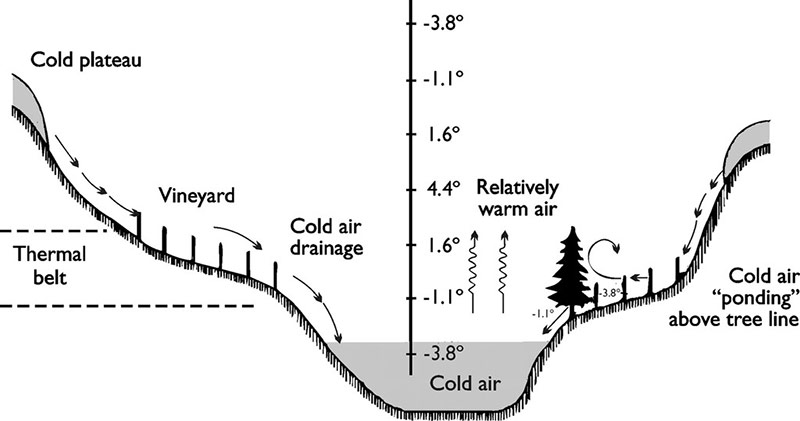 Cold air drainage and thermal belt formation in a valley, illustrating how frost pockets develop.
