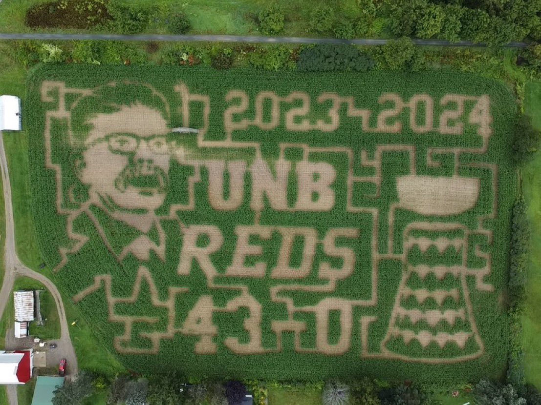 corn maze