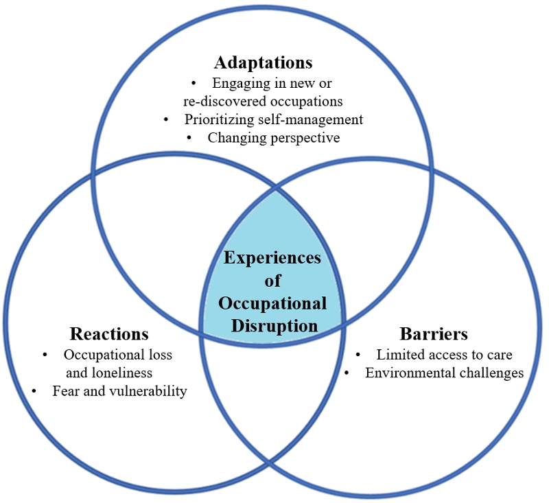 A visual representation of the findings listed